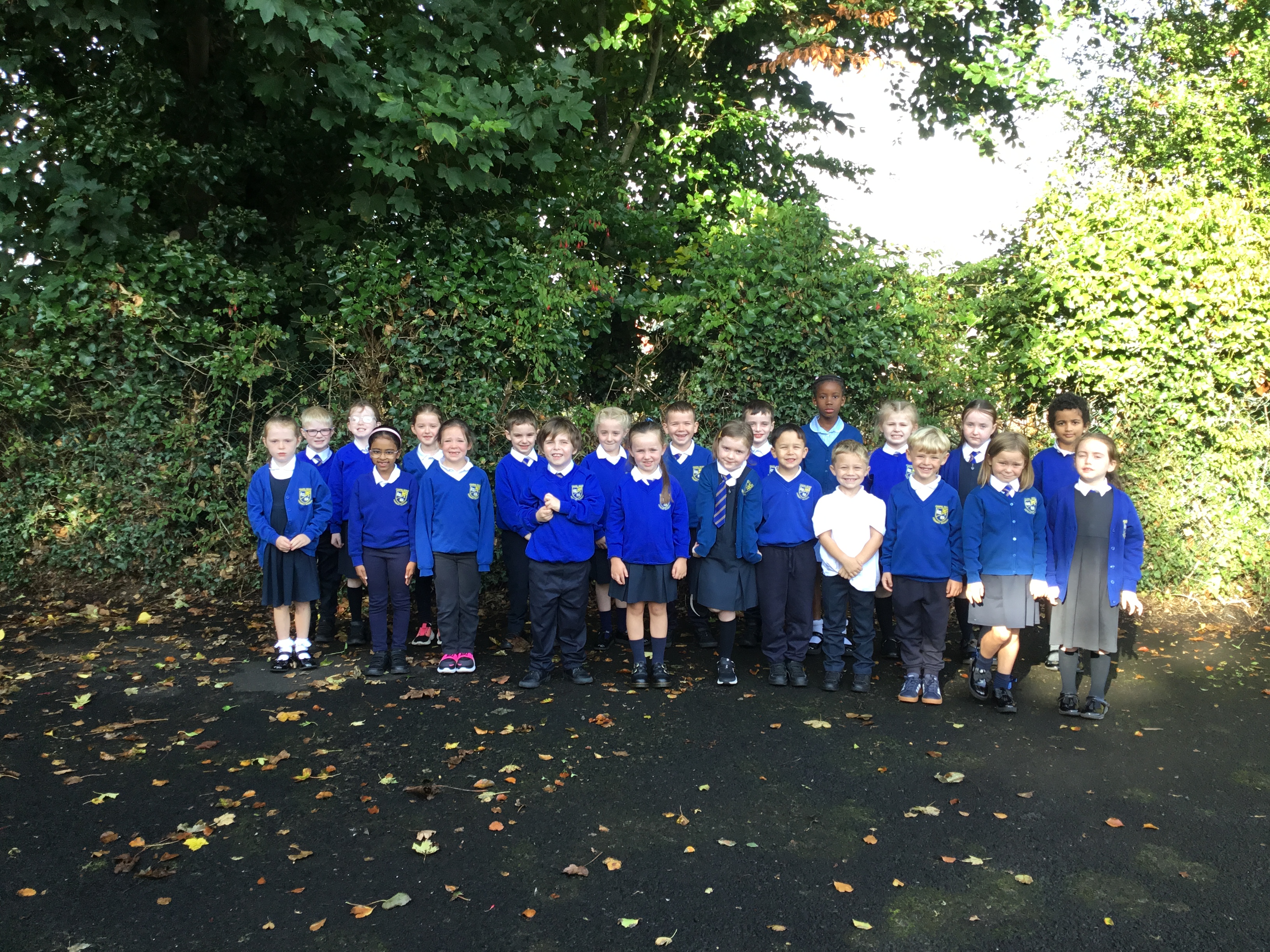Primary 3