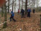 Investigating Our Local Area